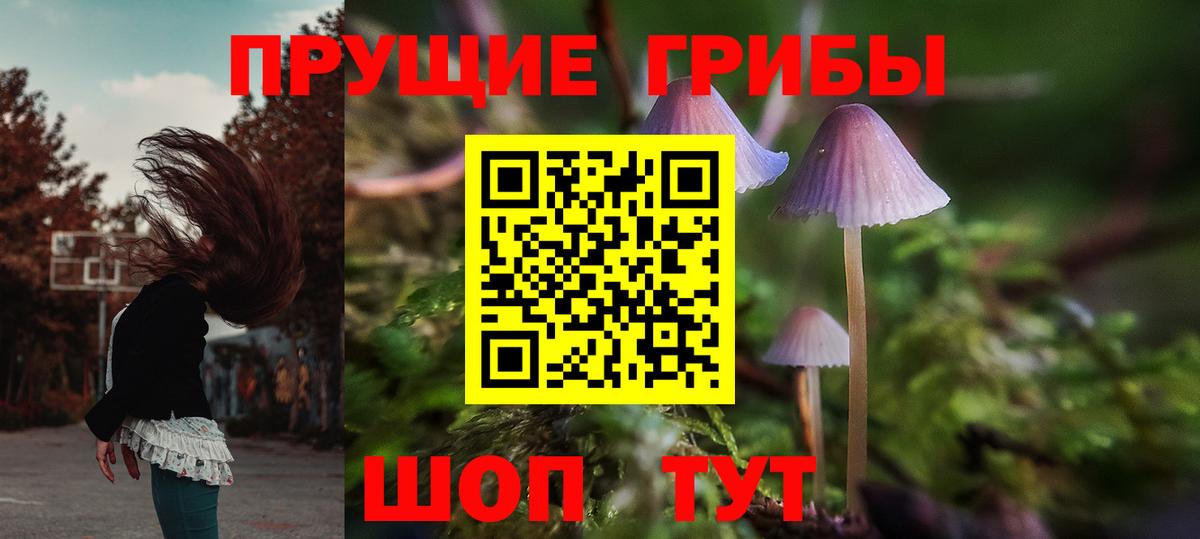 Псилоцибиновые грибы MAGIC MUSHROOMS  Вход с VPN  Орск 